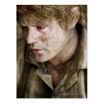 Samwise side face post card