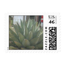 San Angelo Agave Postage Stamps