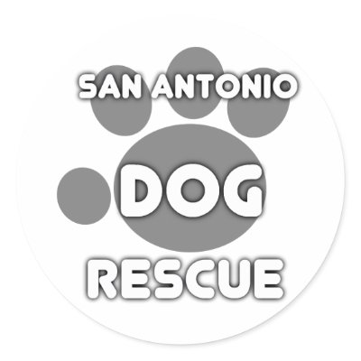 san antonio dog rescue
