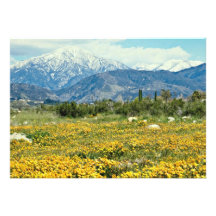 San Bernardino Mountains, snow, flowers  flowers Personalized Invitation