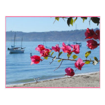 san diego beach post card