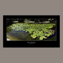 San Diego Botanical Gardens posters