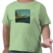 San Diego, California T Shirt