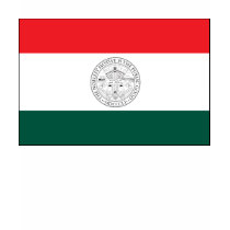 San Diego County Flag T-shirt