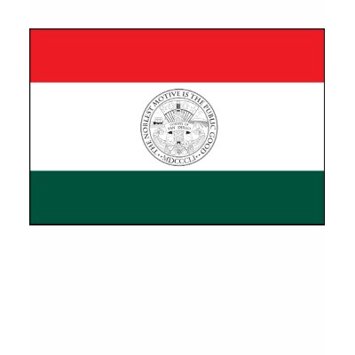 San Diego County Flag T-shirt by FlagTshirts