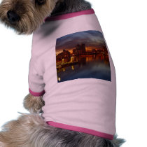 San Diego Docks Night pet clothing