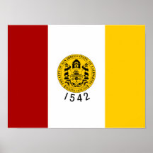 San Diego Flag Print