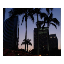 San Diego Palm Skyline posters by descontinue San Diego Palm Skyline posters