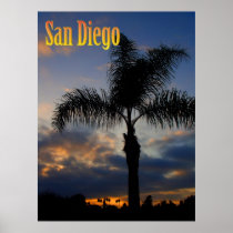San Diego Palm Tree Poster