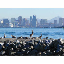 San Diego Pelicans Birds City Skyline Water photo sculptures