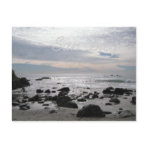 San Diego Postcard by PetalsNRoaches San Diego Postcard