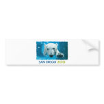 San Diego Zoo Polar Bear Bumper Sticker