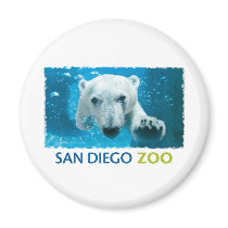 San Diego Zoo Polar Bear Refrigerator Magnet