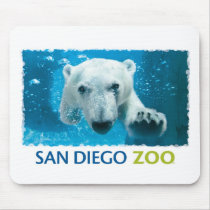 San Diego Zoo Polar Bear Mouse Pads