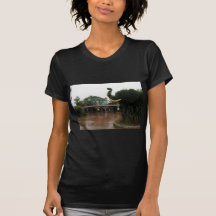 San Diego Zoo Shirts