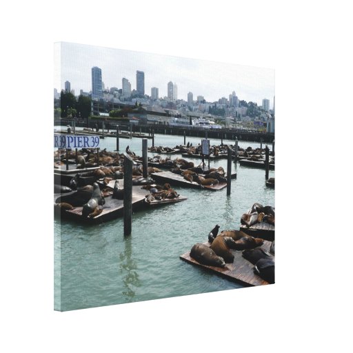 San Francisco and Pier 39 Canvas Print