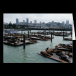 San Francisco and Pier 39 Card