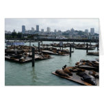 San Francisco and Pier 39 Card