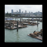 San Francisco and Pier 39 Magnet