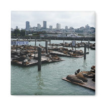 San Francisco and Pier 39 Magnet