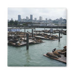 San Francisco and Pier 39 Magnet