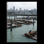 San Francisco and Pier 39 Notebook