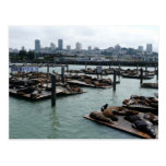 San Francisco and Pier 39 Postcard