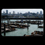 San Francisco and Pier 39 Premium Magnet