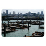 San Francisco and Pier 39 Premium Magnet