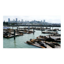 San Francisco and Pier 39 Print print