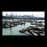 San Francisco and Pier 39 Print