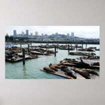 San Francisco and Pier 39 Print