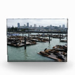San Francisco and Pier 39 Sea Lions City Skyline Award
