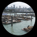 San Francisco and Pier 39 Sticker