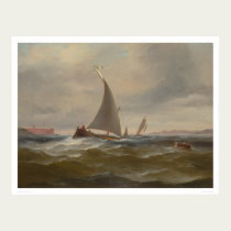 San Francisco Bay Felluca (1314) posters by Bancroft San Francisco Bay Felluca (1314) posters
