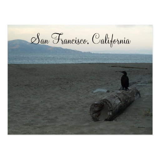 San Francisco, California Tarjeta Postal