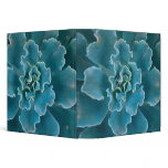 San Francisco Californias Golden Gate Park and Vinyl Binder