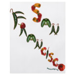 San Francisco Chili Peppers Flyer