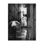 San Francisco Noir Postcard