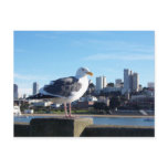 san francisco. post cards