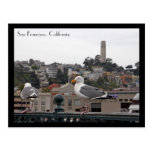 San Francisco Postcard