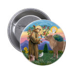 San Francisco - potro de Shetland Pin