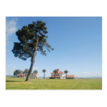 San Francisco Presidio Postcard postcards