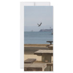 San Francisco Vagabond Custom Rack Cards