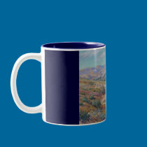 San Gabriel Mountains mugs