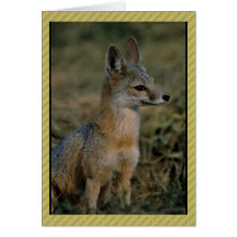 San Joaquin Kit Fox Greeting Card