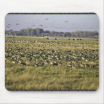 San Joaquin River National Wildlife Refuge, Califo Mousepads