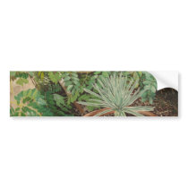 San Jose Mission Garden Painting Bumper Sticker