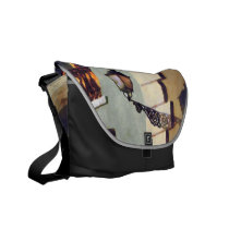 San Juan Street Lamp rickshaw messenger bags