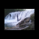 San Marcos River Falls canvas prints